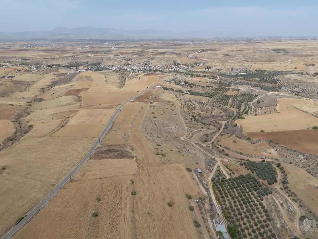 Agricultural Field - Nikitari, Nicosia image 2