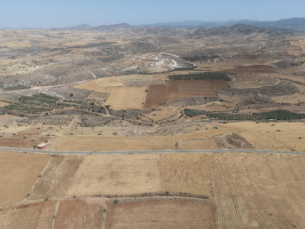 Agricultural Field - Nikitari, Nicosia image 4