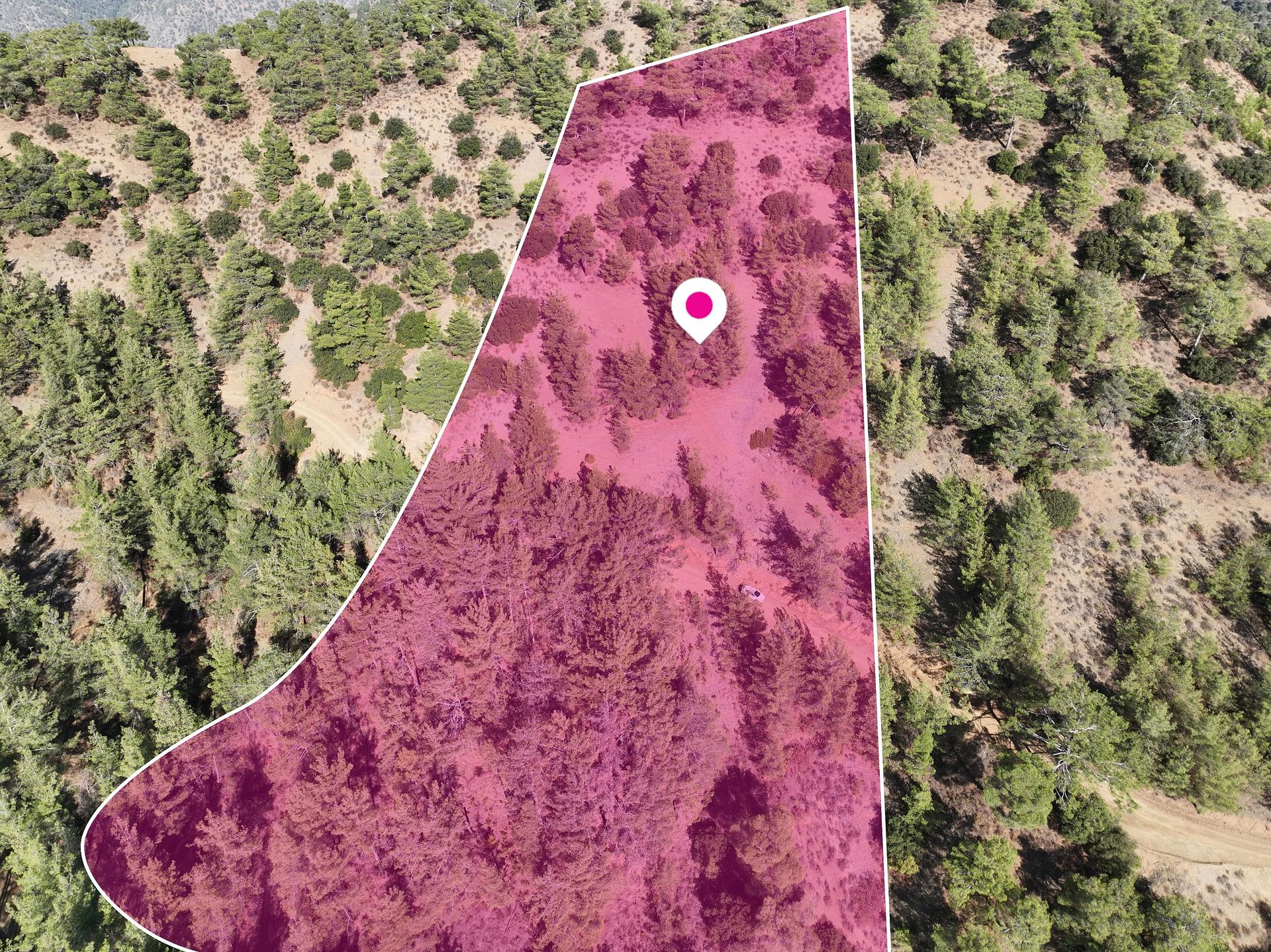 Agricultural Field - Gerakies, Nicosia