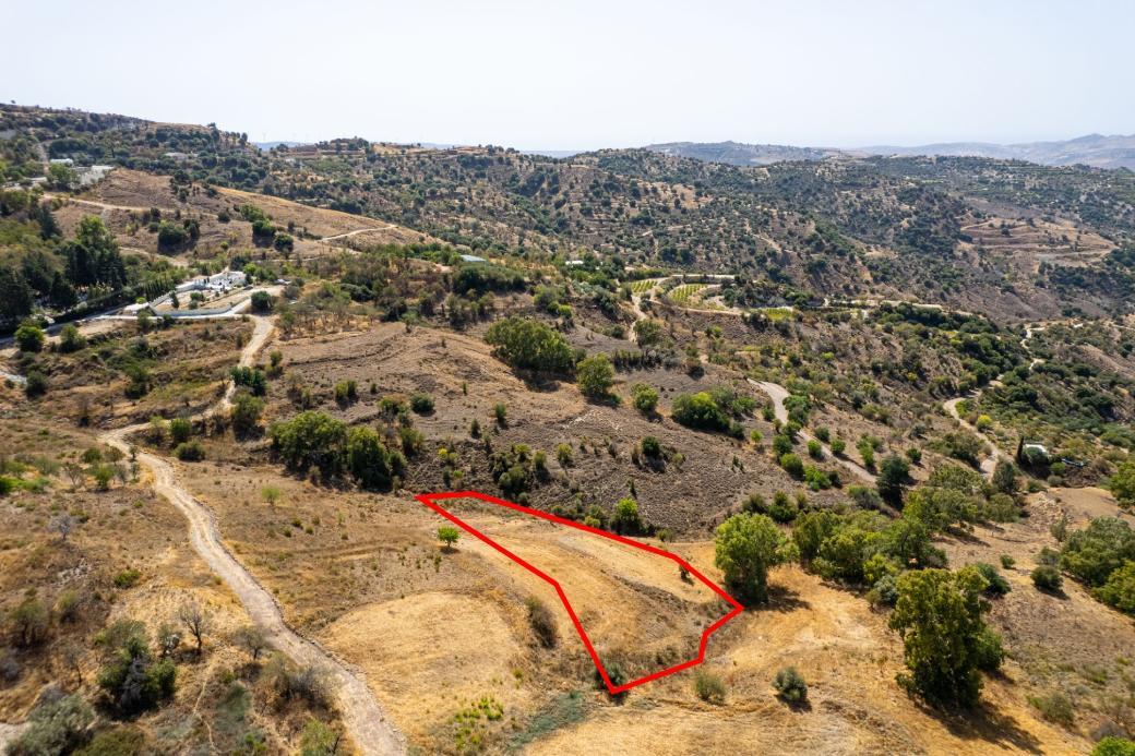 Residential Field - Kelokedara, Paphos image 3