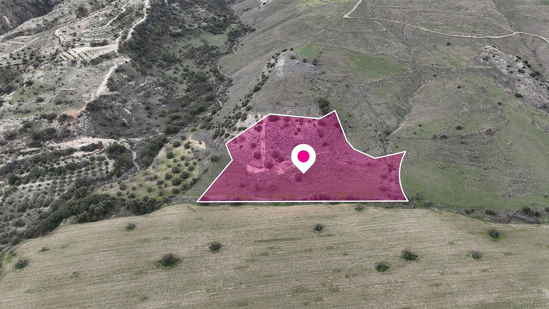 Agricultural Field - Agios Dimitrianos, Paphos image 2
