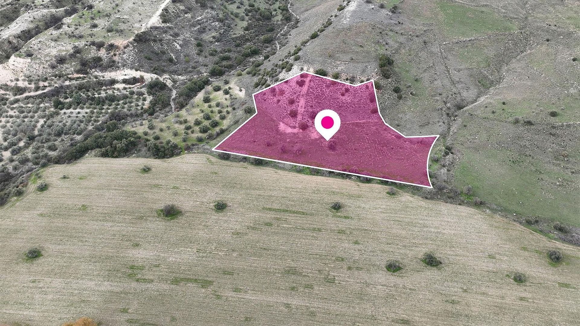 Agricultural Field - Agios Dimitrianos, Paphos