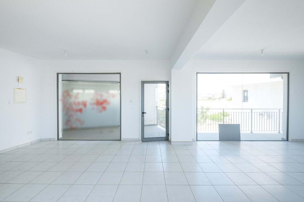 Office & Shop - Voroklini, Larnaca image 15