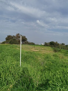 Agricultural Field - Deryneia, Paralimni image 2