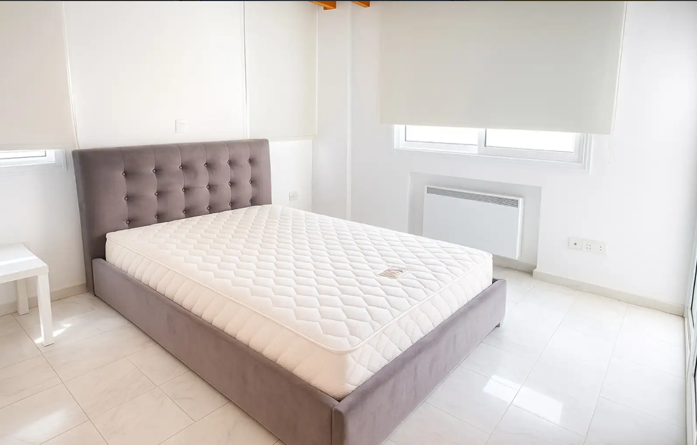 Three Bedroom Apartment - Egkomi, Nicosia image 10