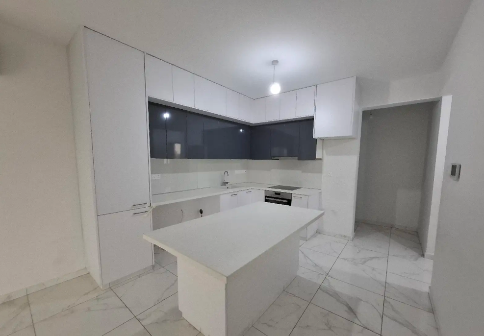 Two Bedroom Apartment - Palouriotissa, Nicosia