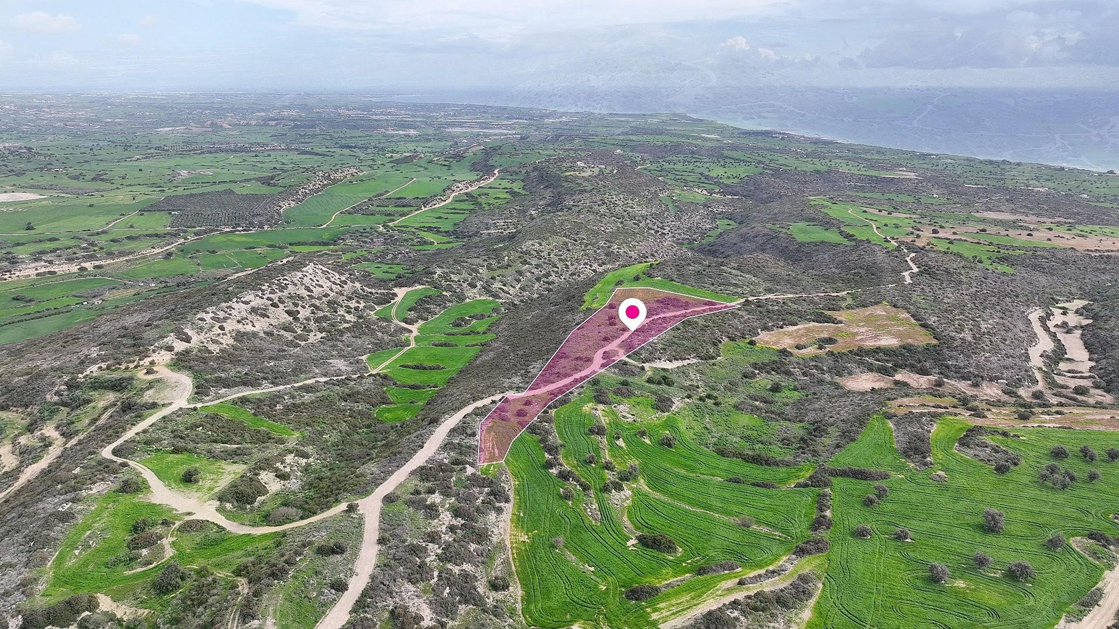 Agricultural field in Agios Theodoros, Larnaca