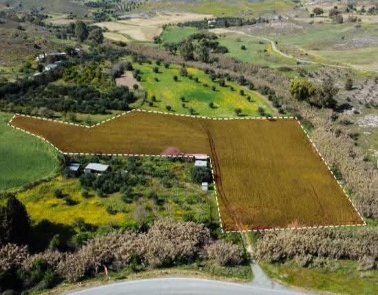 Residential Field - Mosfiloti, Larnaca image 4
