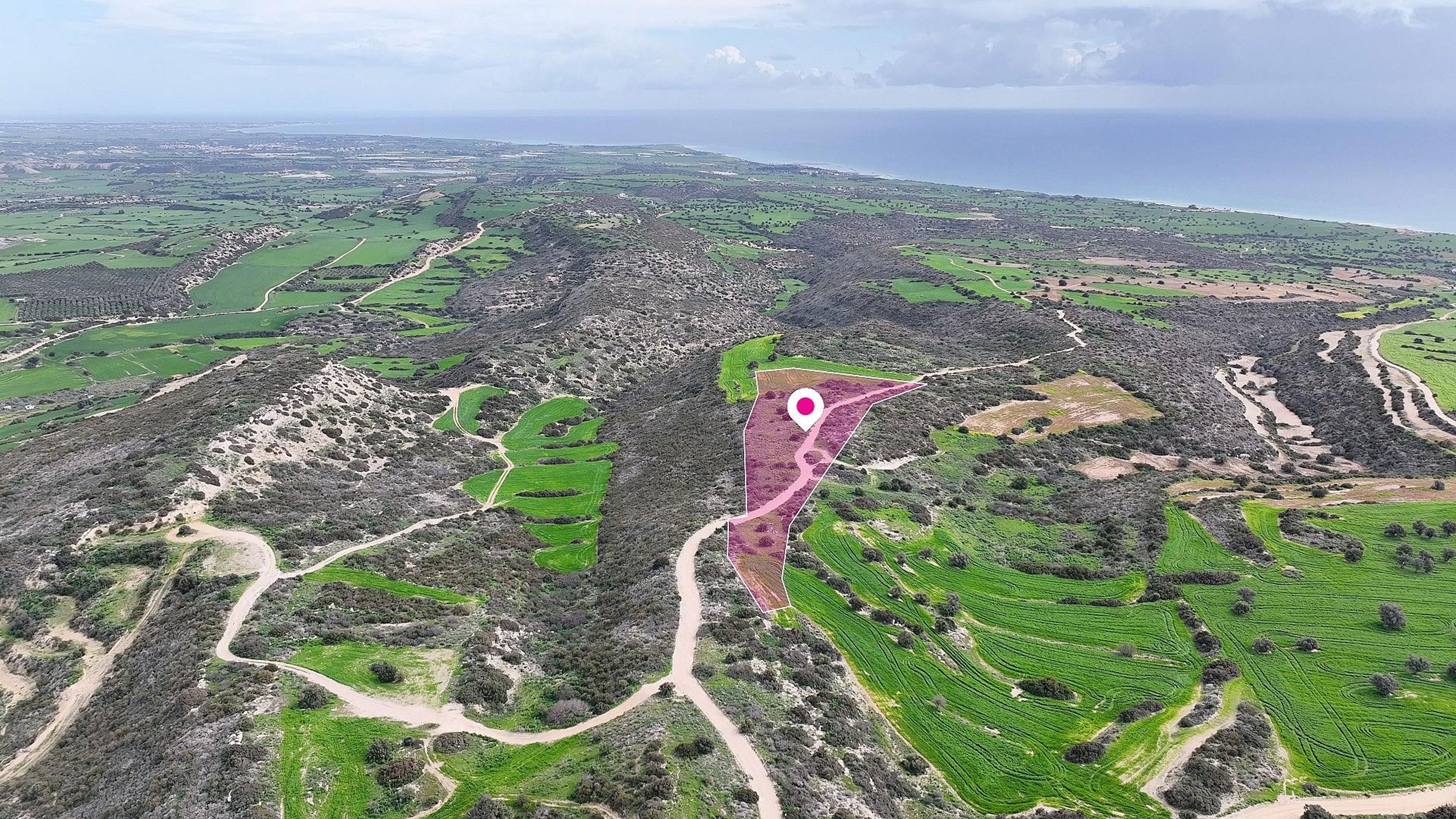 Agricultural field in Agios Theodoros, Larnaca image 3