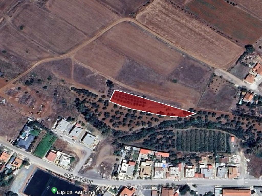 Residential Field - Astromeritis, Nicosia image 6