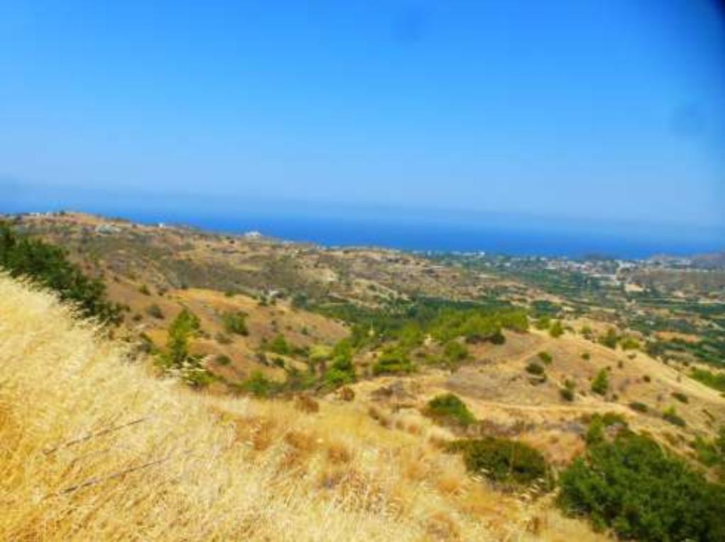 Residential Field - Pigenia, Nicosia image 2