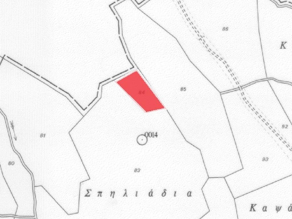 Residential Field - Pigenia, Nicosia image 3