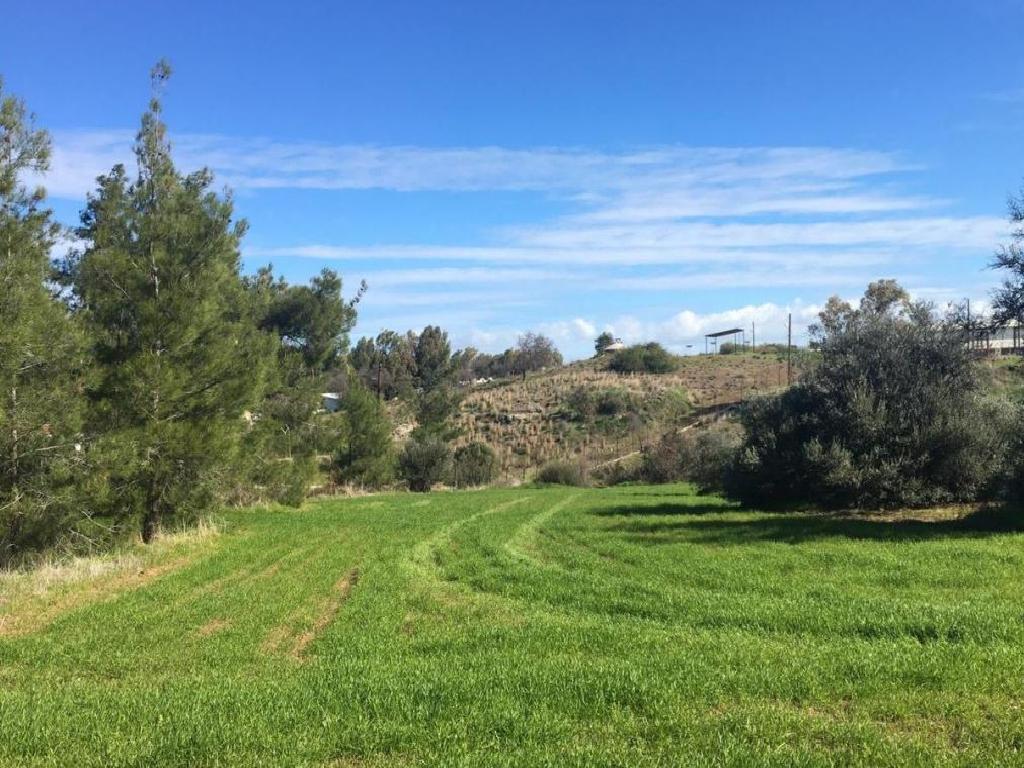 Residential Field - Klirou, Nicosia image 2
