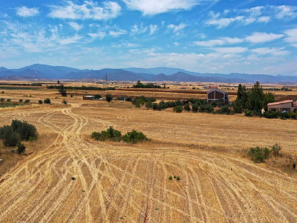 Residential Field - Astromeritis, Nicosia image 3