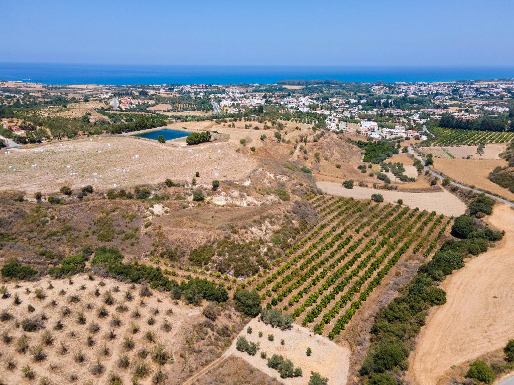 Agricultural Field - Polis Chrysochous, Paphos image 3