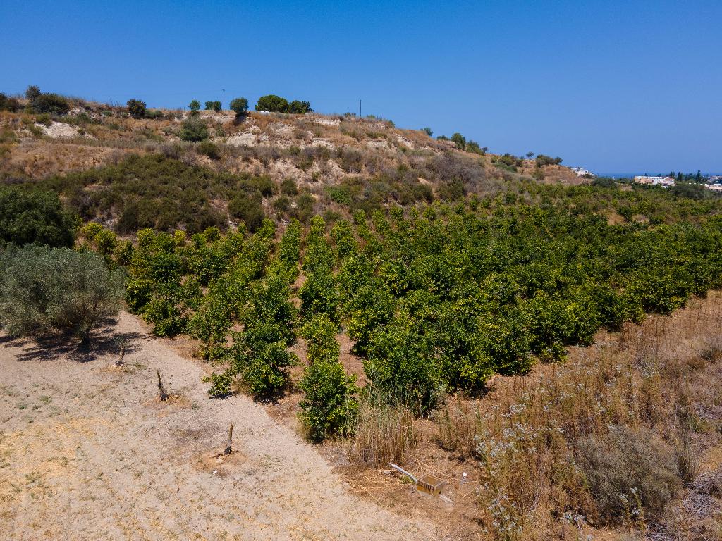 Agricultural Field - Polis Chrysochous, Paphos image 6