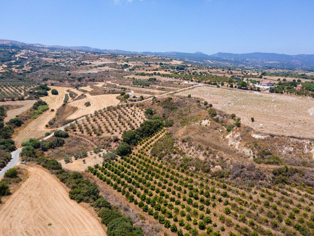 Agricultural Field - Polis Chrysochous, Paphos image 5