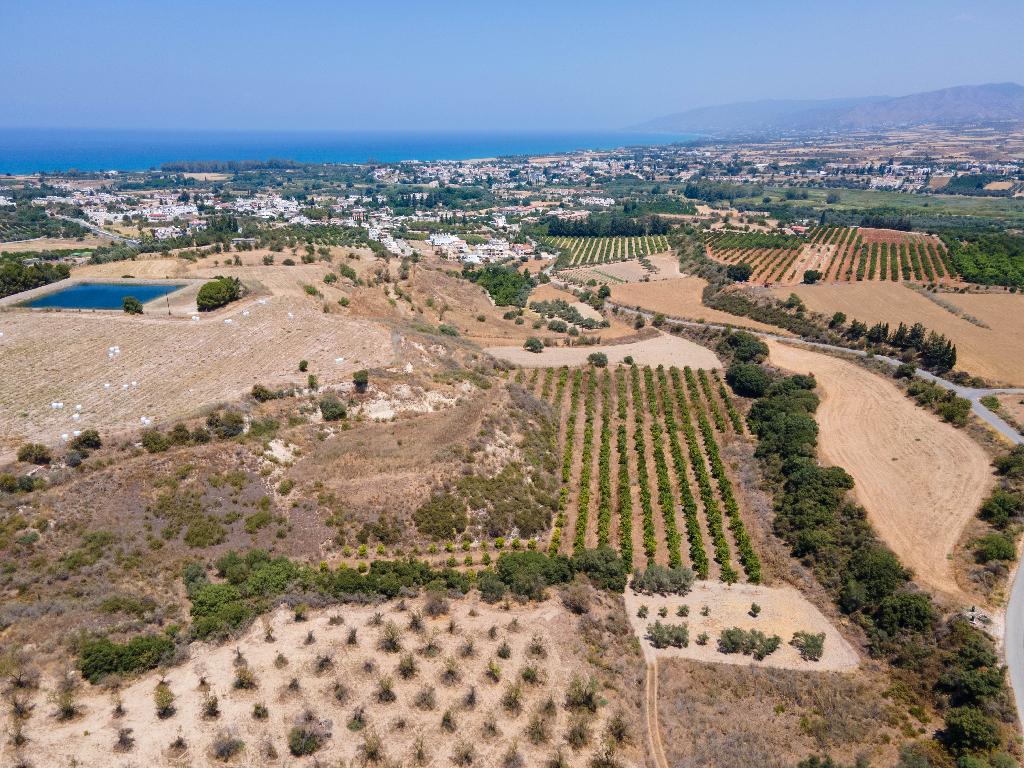 Agricultural Field - Polis Chrysochous, Paphos image 4