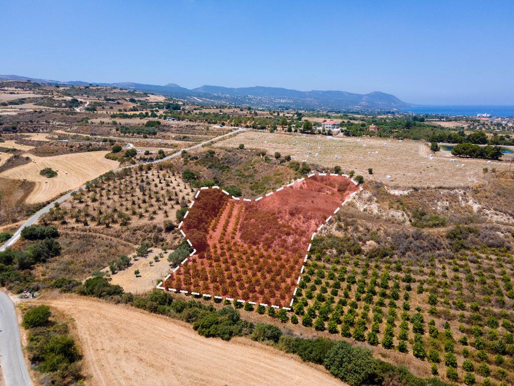Agricultural Field - Polis Chrysochous, Paphos