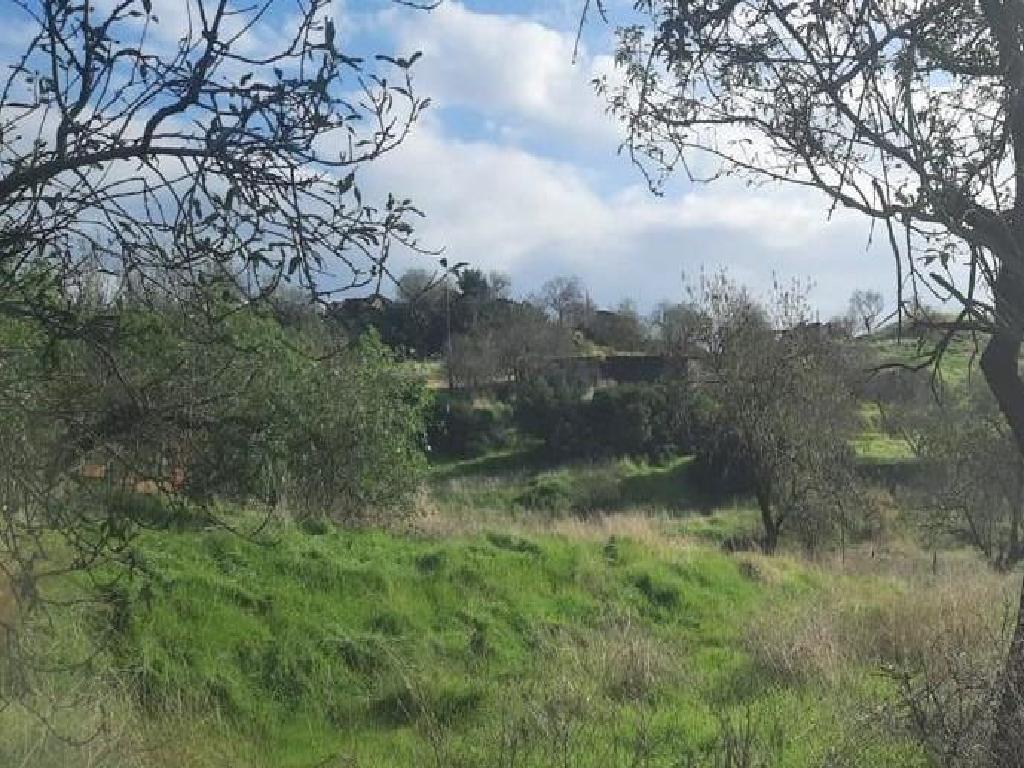 Residential Field - Pigenia, Nicosia image 3
