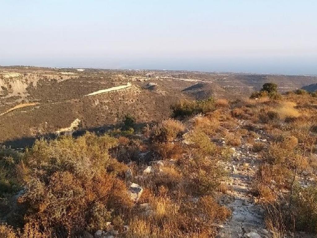 Agricultural Field - Pachna, Limassol image 6