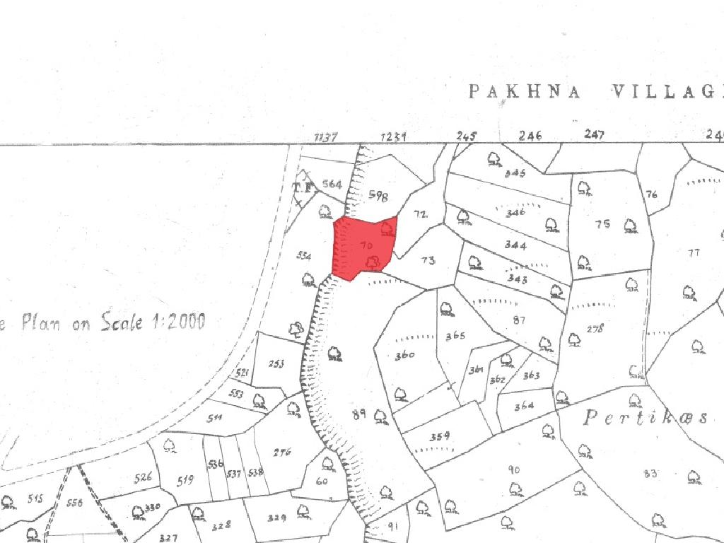 Agricultural Field - Pachna, Limassol image 8