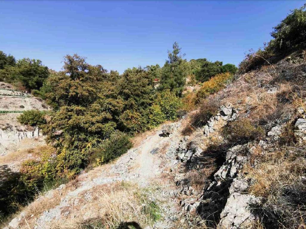 Residential Fields - Kato Mylos, Limassol image 2