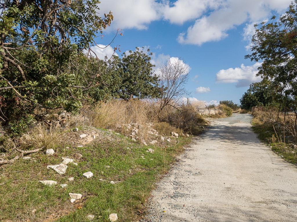 Residential Field - Anogyra, Limassol image 6