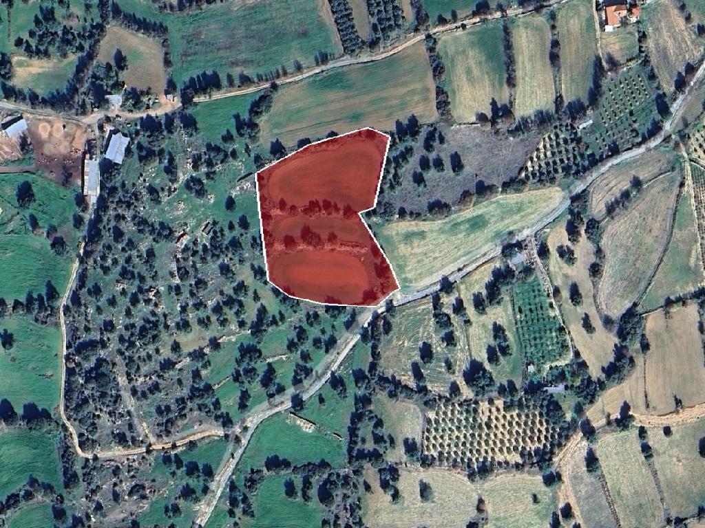 Residential Field - Anogyra, Limassol image 7