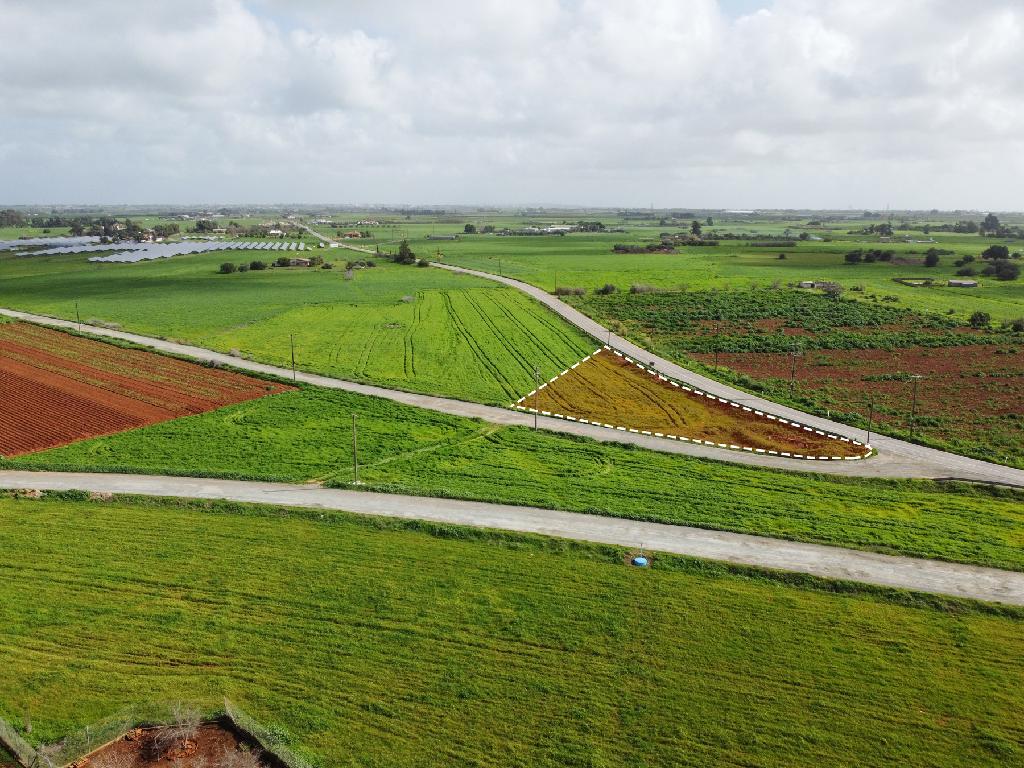 Residential Field - Avgorou, Famagusta image 3