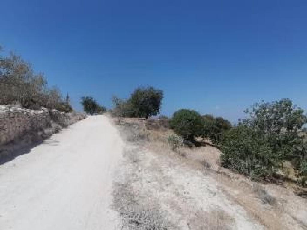 Agricultural Field - Koili, Paphos image 2