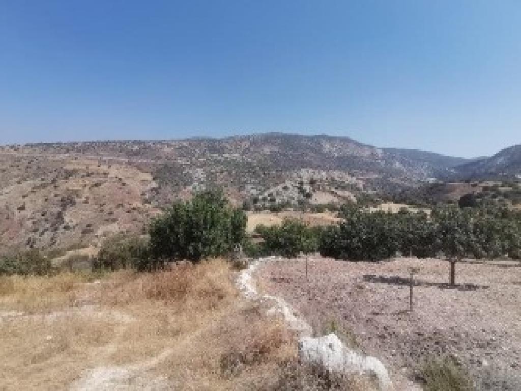 Agricultural Field - Koili, Paphos image 3