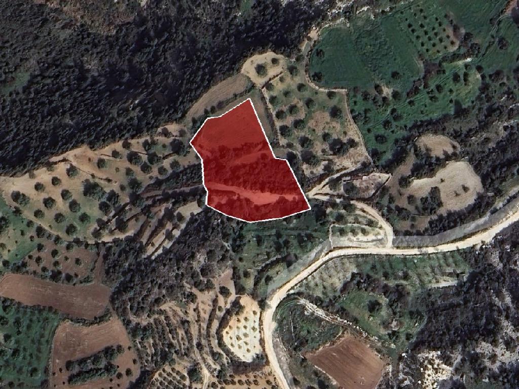 Agricultural Field - Koili, Paphos
