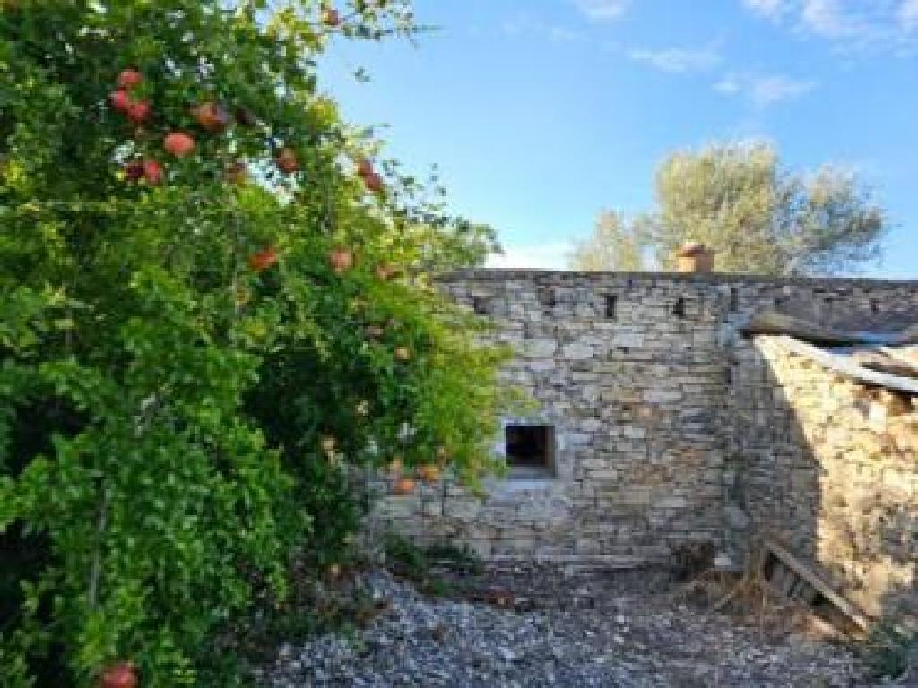 Single-Storey House - Kedares, Paphos