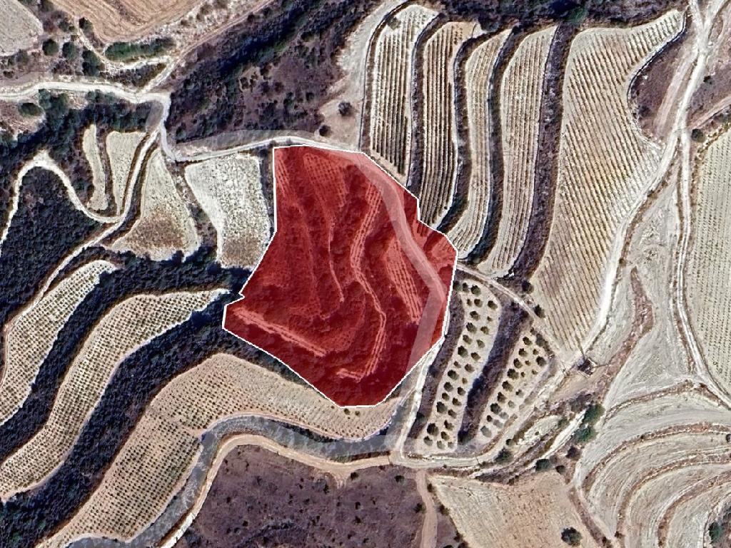 Agricultural Field - Lemona, Paphos