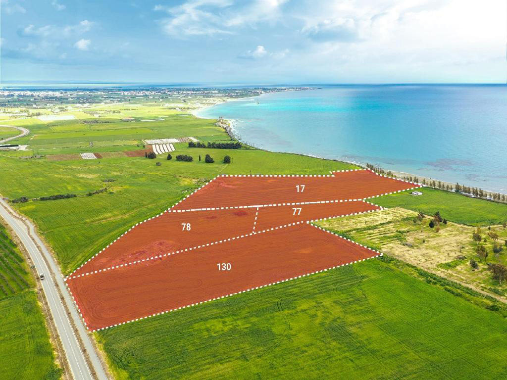 Touristic Beachfront Fields - Softades, Larnaca