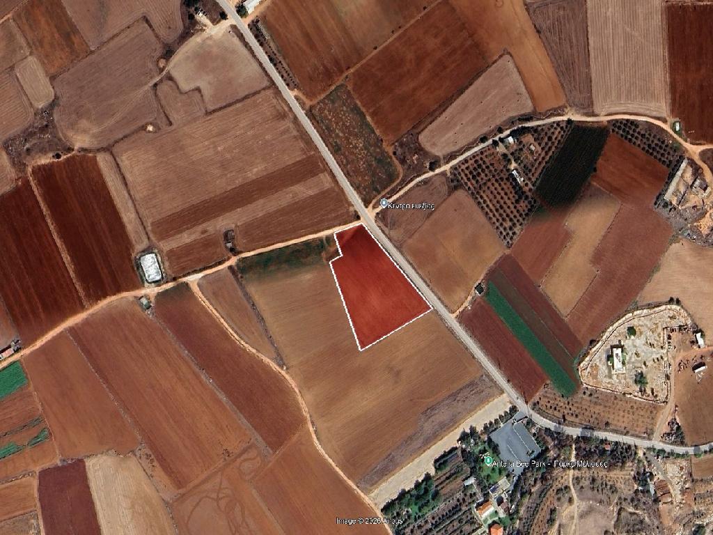Agricultural Field - Achna, Famagusta