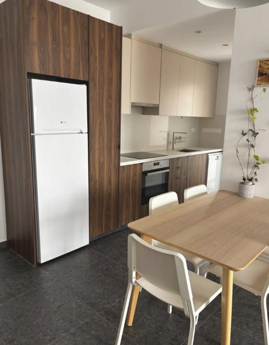 One Bedroom Apartment - Egkomi/Makedonitissa, Nicosia image 4