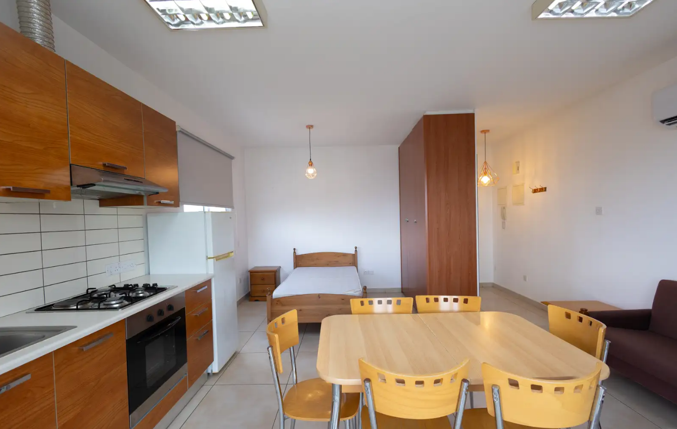 Studio Apartment - Aglantzia, Nicosia image 2