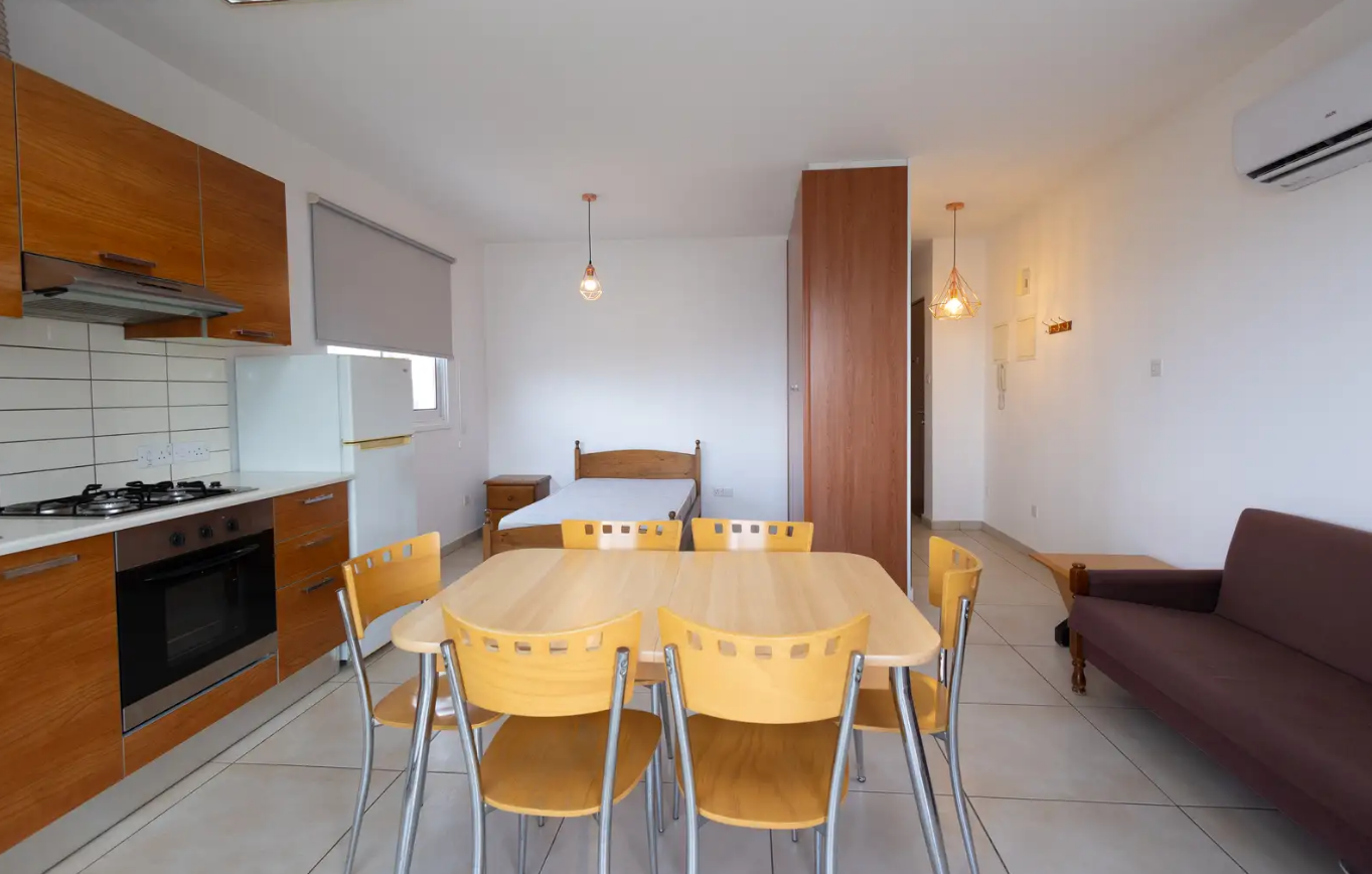 Studio Apartment - Aglantzia, Nicosia image 3