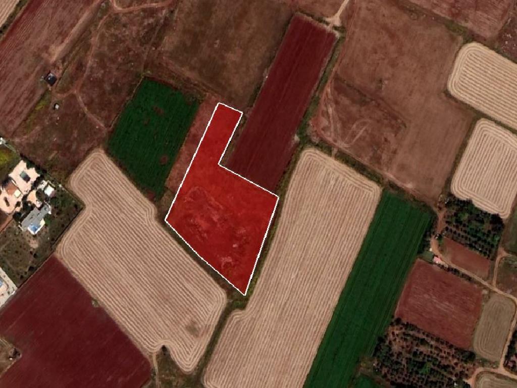 Agricultural Field - Avgorou, Famagusta image 6