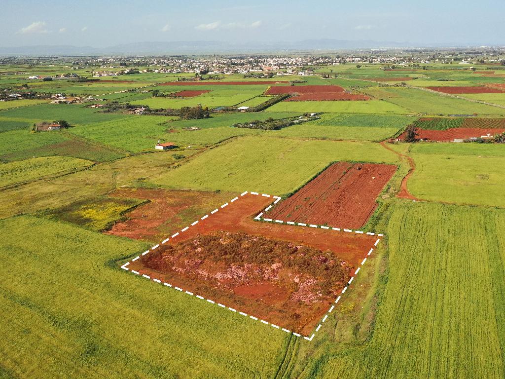 Agricultural Field - Avgorou, Famagusta image 4