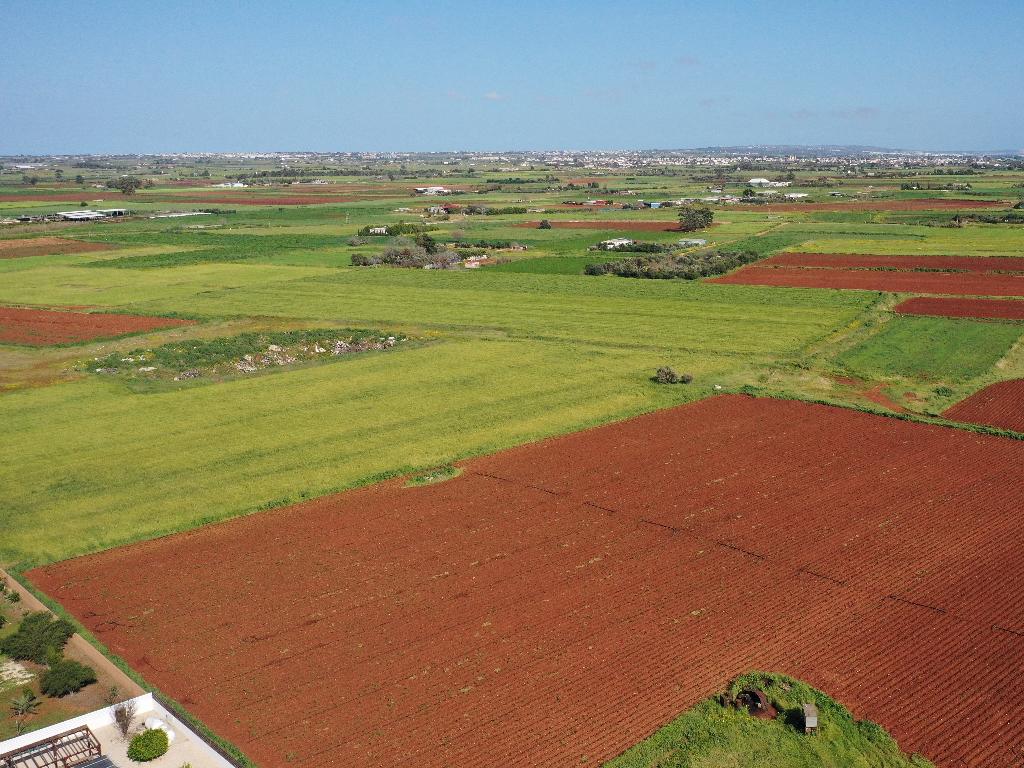 Agricultural Field - Avgorou, Famagusta image 5