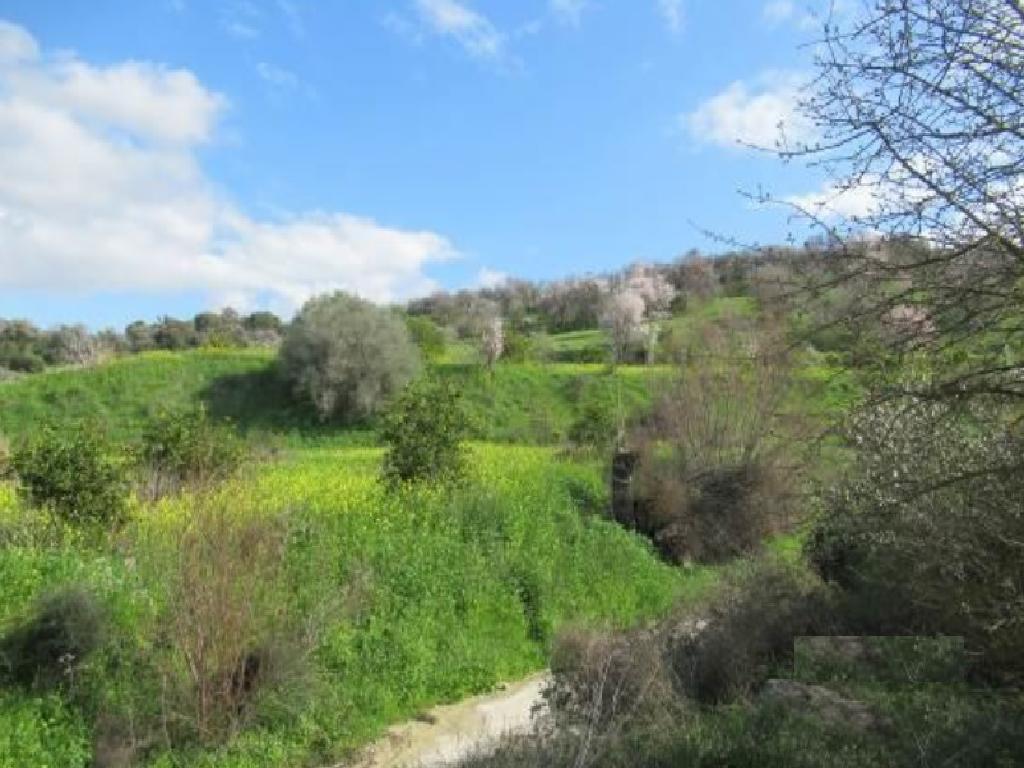 Agricultural Field - Mamonia, Paphos