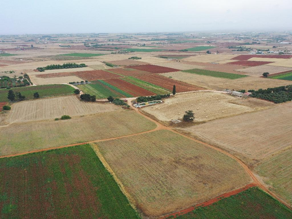 Agricultural Field - Avgorou, Famagusta image 4
