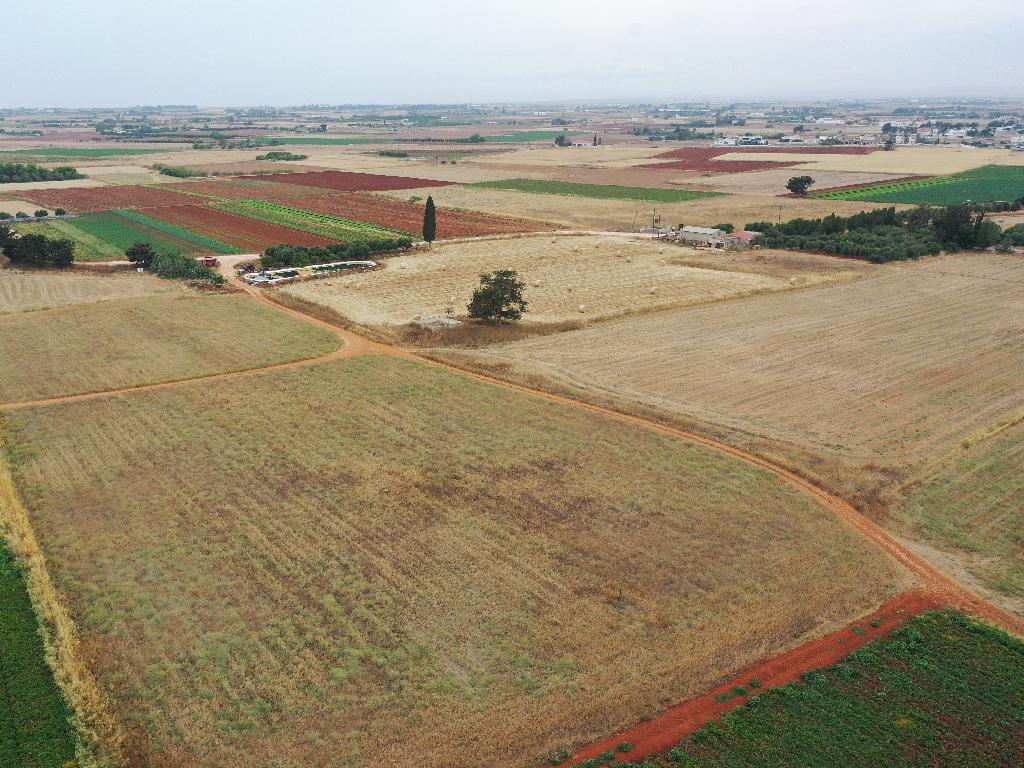 Agricultural Field - Avgorou, Famagusta image 5