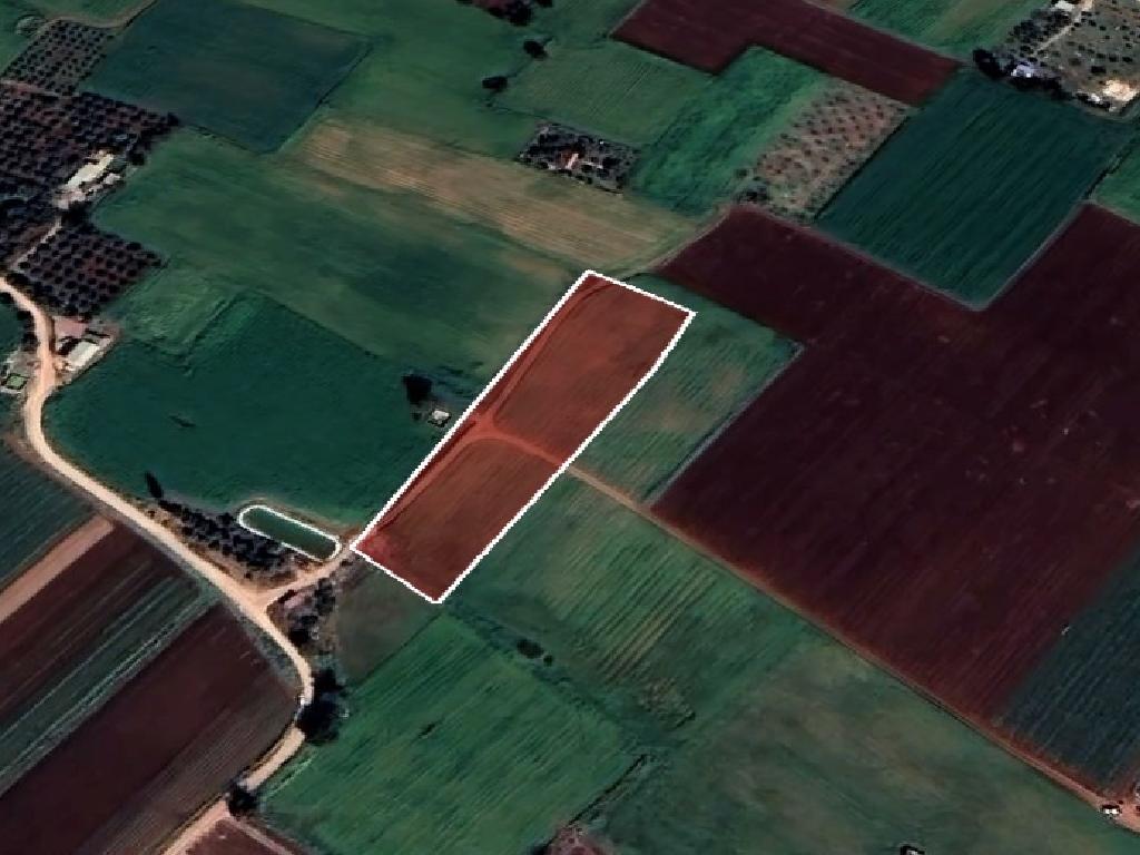 Agricultural Field - Avgorou, Famagusta image 6