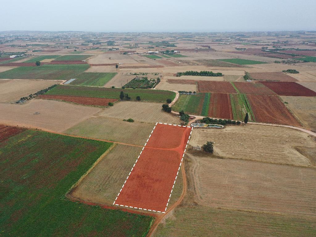 Agricultural Field - Avgorou, Famagusta image 2