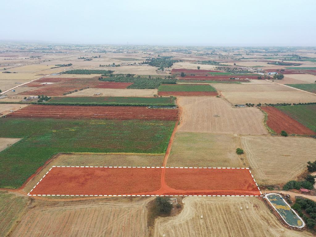 Agricultural Field - Avgorou, Famagusta image 3