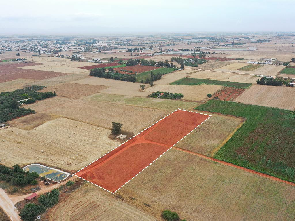 Agricultural Field - Avgorou, Famagusta